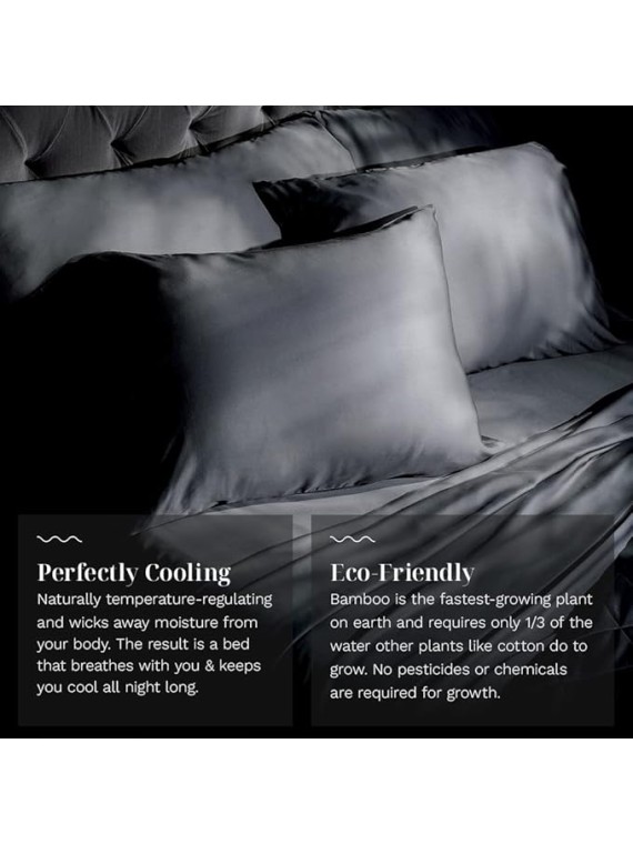 Luxury Sheet Set | 100% Rayon (Viscose) from Bamboo | Queen Size - Charcoal | Deep Pockets | 4-Piece Set (Fitted, Flat, 2 Pillowcases)